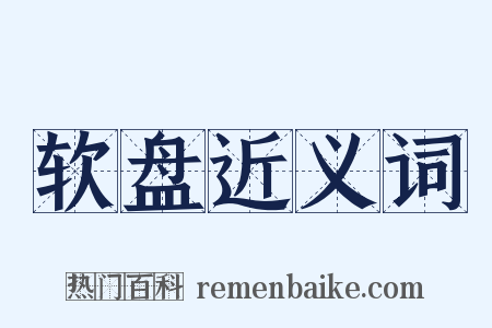 软盘近义词是什么意思的图片